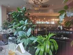 -大树餐厅(红旗街万达店)