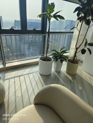 -HEYAN荷妍专业脱毛连锁机构