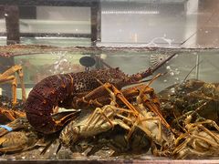 -甄御•海鲜新青岛菜(麦岛店)