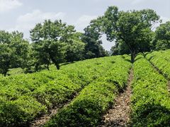 -敬亭山风景名胜区