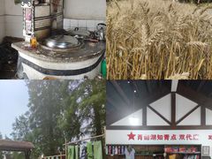 -同里国家湿地公园