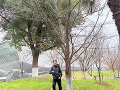 -武汉大学-樱园