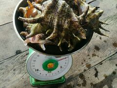 -顺峰渔港中国人的餐厅