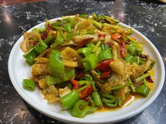 -后卫寨猫耳朵(后卫寨店)