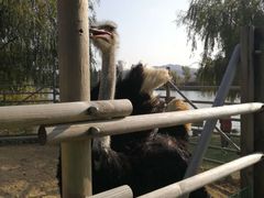 -羊亭河湿地公园