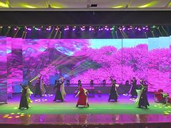 -南风大剧院莎梦二人转剧场