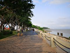 -深圳湾公园(南山区)