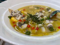 -青花椒花椒鱼(合生汇店)