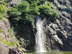 -上海辰山植物园