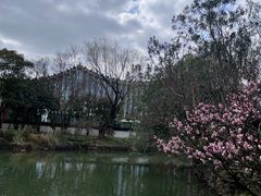 -上海醉白池公园