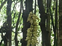 -天鹿湖森林公园