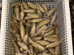 -一块豆腐(李沧书院路店)
