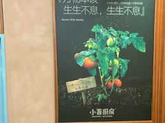 -海马体照相馆(北京大族广场店)