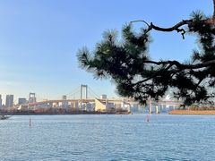 -台场海滨公园船码头