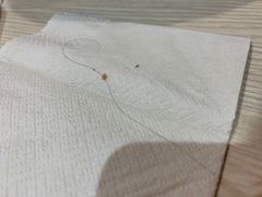 -五爷拌面(天地人和店)