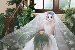 -北遇映画PHOTO GRAPHY STUDIO
