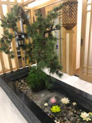 -芳朵美容养生SPA