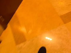 -桃源春晓中餐厅 TaoYuan Restaurant