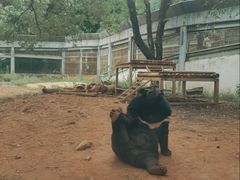 -昆明动物园