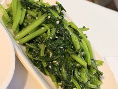 -云中小雅