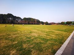 -昆山城市生态森林公园