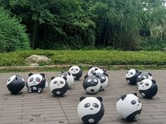 -都江堰中华大熊猫苑