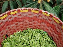 -东山风景区(洞庭东山)
