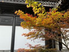 -金海华·华宴江南(斜塘店)