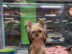 -FAELING PETS美天灵宠物(合生汇店)