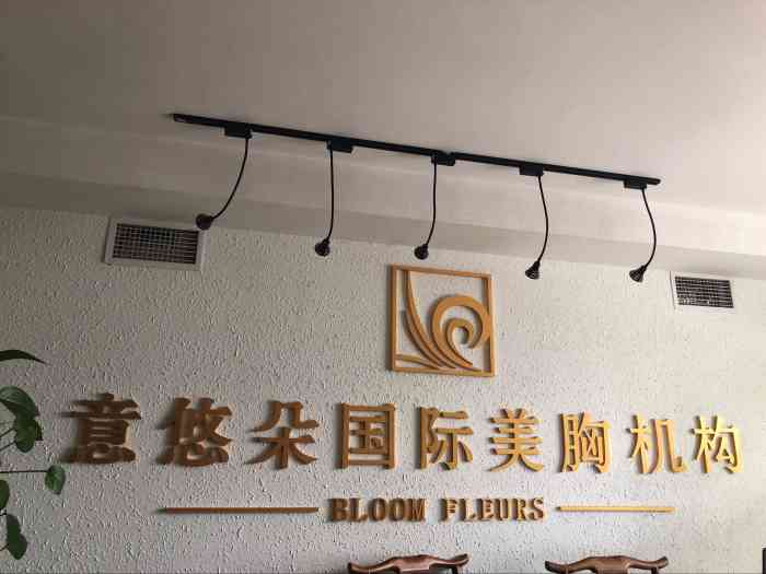 意悠朵国际美胸丰胸机构回龙观店