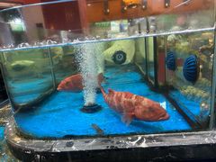 -张家卫·阳江菜·小海鲜(肥婆湾桥店)