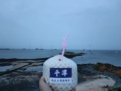 -长江澳风力发电景观区