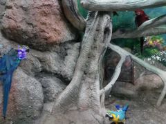 -福州罗源湾海洋世界旅游区