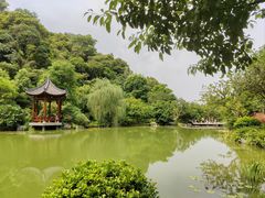 -云溪植物园