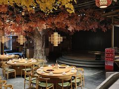 -老凯俚酸汤鱼(多彩城店)