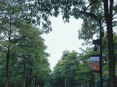 -海珠湖公园