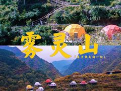 -唆了蜜团建·趣味沉浸式剧情·蹦床轰趴运动拓展基地(天津旗舰店)