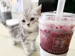 -奈雪的茶(漫广场店)