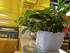 -丰茂烤串(卫星广场店)