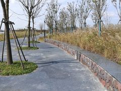 -春花秋色城市公园