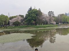 -堤角公园