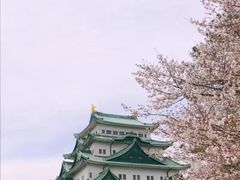 -名古屋城