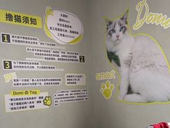 -上海浦东smart汽车全功能店(金桥店)