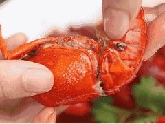 -休记光头香辣蟹干锅(绵竹店)