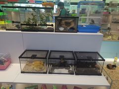-万达广场(北京槐房店)