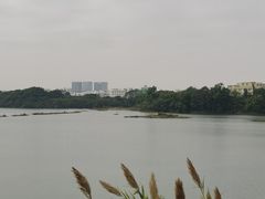 -立新湖公园