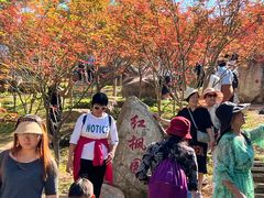 -广州市帽峰山景区