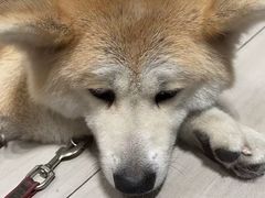 -YCHL Studios健身工作室(市二宫店)