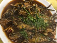 -杨辉饭店