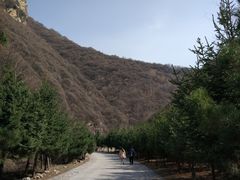 -少华山国家森林公园